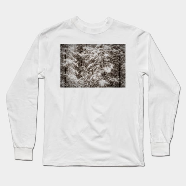 A Hush Falls Over The Forest Long Sleeve T-Shirt by becky-titus